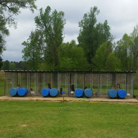 Boarding Kennels