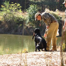 Gun Dog Training